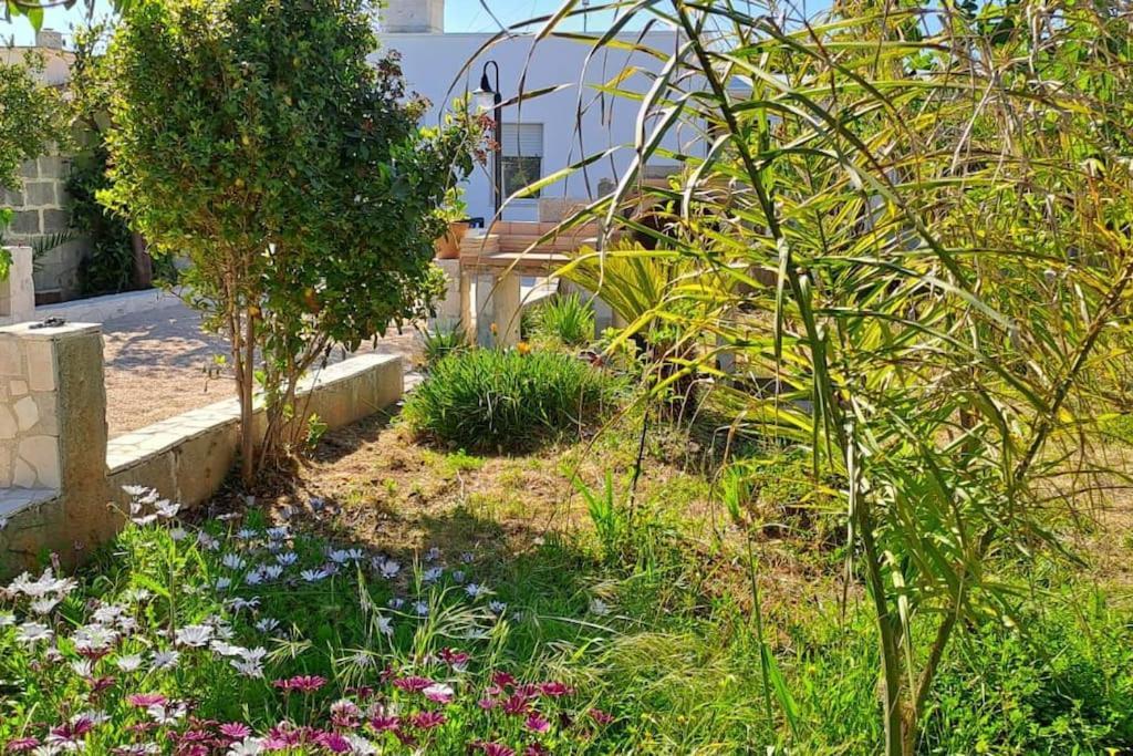 Punta Grossa - Porto Cesareo Holiday home Punta Prosciutto
