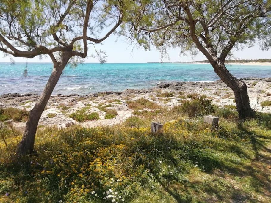 Holiday home Punta Grossa - Porto Cesareo *
